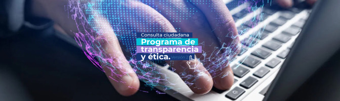 conuslta-ciudadana-ok.jpg