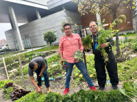 Usuarios de la DIVRI recogiendo algunas de las plantas sembradas en la huerta WhatsApp-Image-2025-01-30-at-9-58-09-AM.jpeg