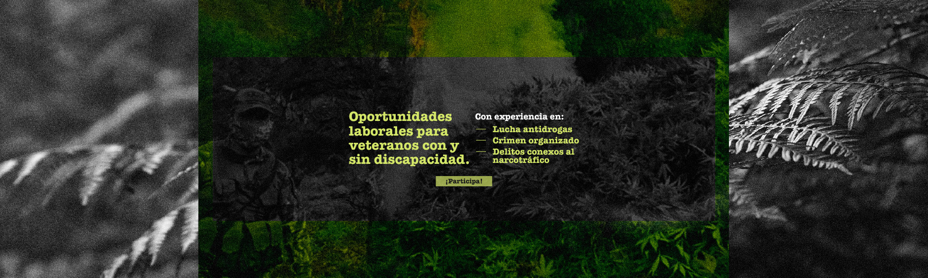 Me interesa banner-web-INL-Empleabilidad.jpg